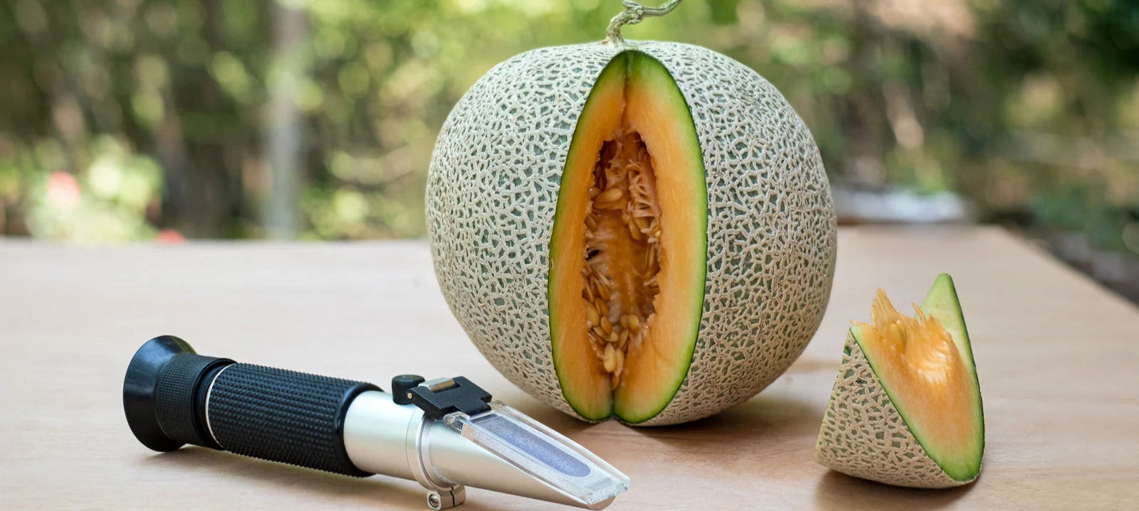 Optisk refraktometer och uppskuren melon för mätning av sockerhalt